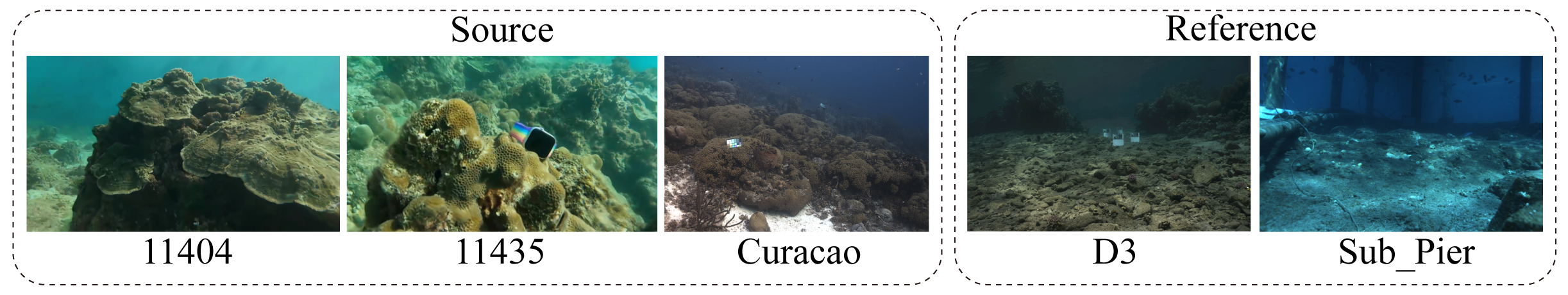 Source and Reference Scene Mapping